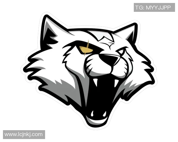 聚焦CSGOFPX战队的崛起与实力分析探讨 聚焦CSGOFPX战队的崛起与实力分析探讨