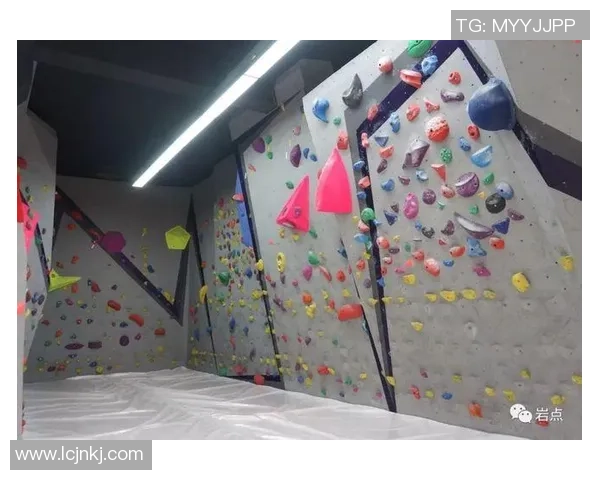 西安攀岩队个人能力分析与表现评估研究报告 西安攀岩队个人能力分析与表现评估研究报告